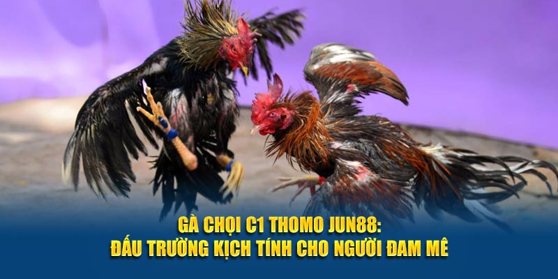 Ga Choi C1 Thomo Jun88 Dau Truong Kich Tinh Cho Nguoi Dam Me