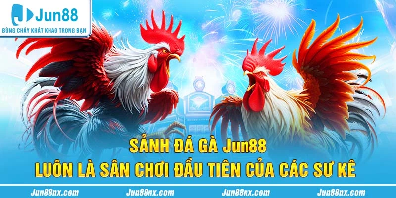 Sảnh đá gà Jun88 luôn là sân chơi đầu của các sư kê