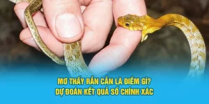 Mơ thấy rắn cắn là điềm gì